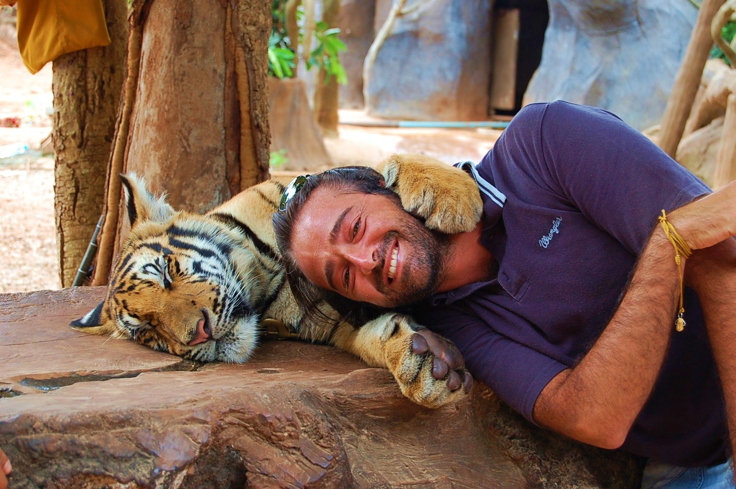 lorenzo con tigre